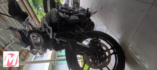 moto-triumph-tiger-800-tiger-800-xrx-por-r6000000-em-itaja-sc-big-3