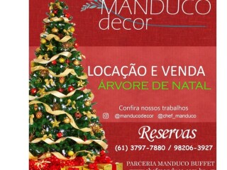 Locaco de arvore de natal decorada para eventos em Brasilia Aguas Claras Servicos para festas infantis e eventos no [***] 