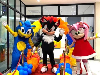 Sonic cover turma personagens vivos Vila Prudente Servicos para festas infantis e eventos no [***] 