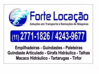 Kit remocaopaleteiramacacos unha e garrafatartarugas Cotia Servicos especializados no [***] 