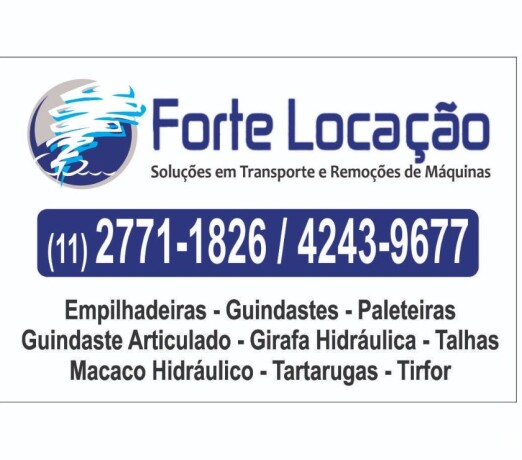 locacao-manutencao-cotia-empilhadeiras-paleteiras-kit-remoca-cotia-servicos-especializados-no-179710027-big-0