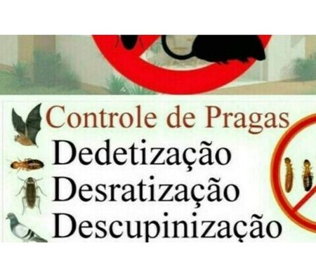 desinsetizaco-desratizaco-descupinico-em-gravata-rs-gravatai-rs-servicos-especializados-no-304578686-big-0