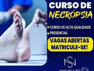 Curso de Auxiliar de Necrpsia Bauru SP cursos tcnicos enfermagem esttica profissionalizantes [***] 