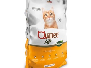 Raco Quatree Life Gatos Castrados 101 KG Sem Transgnicos Outros Bairros Belo Horizonte MG Pet shops e veterinrios Outros Bairros Belo Horizonte MG no [***] 