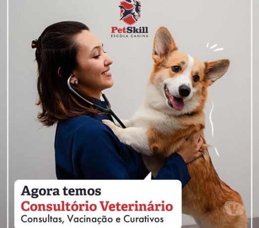 vacinaco-e-consultas-veterinrias-maringa-pr-pet-shops-e-veterinrios-maringa-pr-no-329203631-big-0