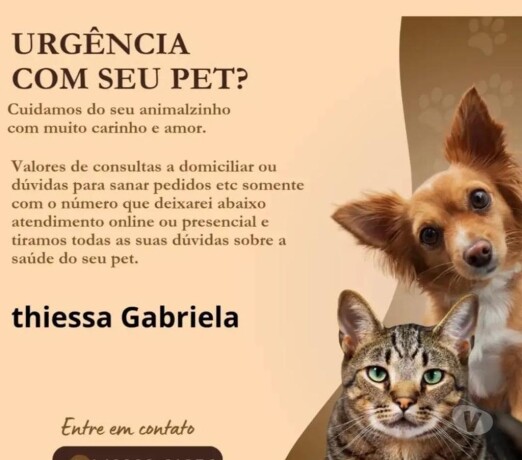 consultas-dvidas-sobre-pet-botucatu-sp-pet-shops-e-veterinrios-botucatu-sp-no-329695301-big-0