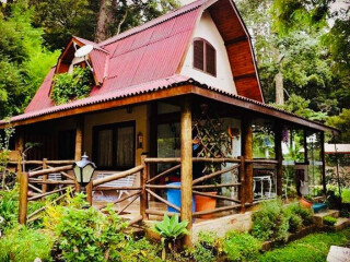 Chácara, Sítio e Rancho de temporada em Barrado, Campos do Jordão São Paulo. Casa da floresta em Campos do Jordão - Sua Melhor hospedagem