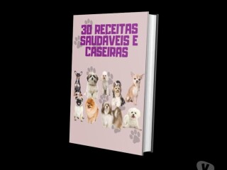 Cuido de Pets e hospedo Moema - Pet shops e veterinários Moema 