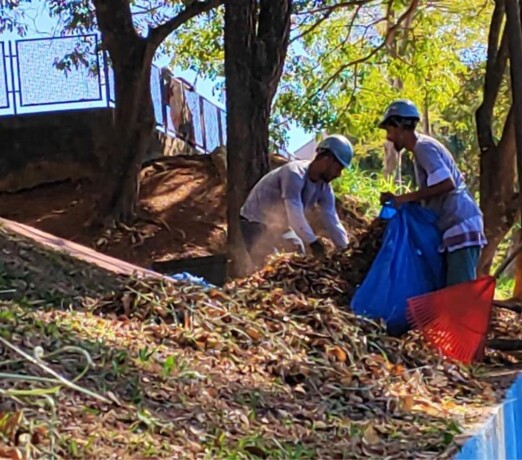 limpeza-de-terreno-com-bob-cat-butanta-servicos-especializados-big-0