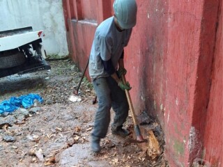 Remoção de Arvore Em Alto de Pinheiros Alto de Pinheiros - Serviços especializados 